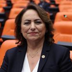 CHP'li Şevkin'den Seyhan-2 ve Yüreğir HES'lerinin devrine tepki