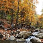 Pozantı Belemedik Yaylası büyüleyici atmosferiyle ziyaretçilerini bekliyor