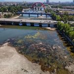 Seyhan Baraj Gölü kapakları kapanınca Seyhan Nehri'nde sular çekildi