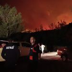 Adana Valiliği açıkladı: Yangınlarda 132 hektar alan zarar gördü
