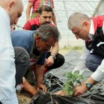 Adana’da kahve üretimi için ilk adımlar atıldı