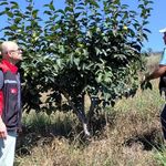 Kozan’da dolu sonrası tarım alanlarında hasar tespiti sürüyor