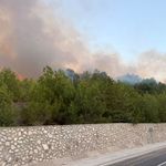 Kozan’da ormanlık alanda çıkan yangın kontrol altına alındı