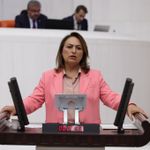 Müzeyyen Şevkin’den “kalıcı toplumsal barış” için komisyon çağrısı