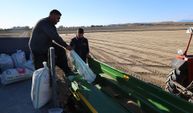 Adana’da Sezonun İlk Buğdayı Ekildi: Çiftçi Yağışı Bekliyor