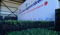 Aladağ'da 400 bin domates fidesi toprakla buluştu