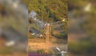 Mersin’de elektrik akımına kapılan 3 leylek telef oldu