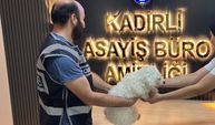 Dakikalarca kovalayıp bahçeden çaldılar: Pamuk sahibine kavuştu