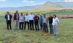 Adana’da meralara sahip çıkılıyor, üretici bilgilendiriliyor