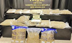 Antalya'da 21,5 kilo skunk ele geçirildi