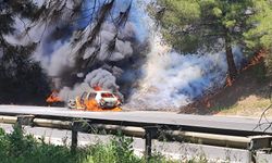 Araçta çıkan yangın ormana sıçradı, facia son anda önledi