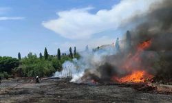 Bahçe yangını maddi zarara neden oldu