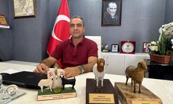 Başkan Şen: “Kurbanlık alırken sağlık ve güvene dikkat edin”