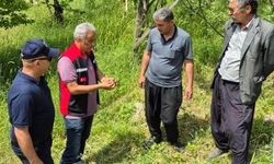 Çekirge tehdidine anında müdahale: Ekipler sahada