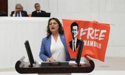 CHP'li Şevkin: “Kanunlar yapboz tahtasına döndü”