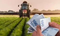 Çiftçiye can suyu: 3,3 milyar liralık destek yapıldı