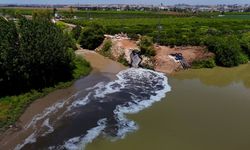Doğanın kalbi Ceyhan Nehri can çekişiyor!