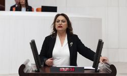 Dr. Şevkin uyardı: "Çevre felaketleri derinleşiyor, ÇED raporları formaliteye dönüşüyor”