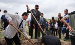 Hakimler,savcılar ve hükümlüler ormanları yeşertmek için kolları sıvadı