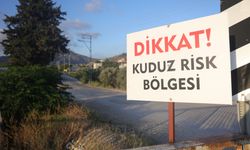 Hatay'da kuduz alarmı: 4 mahalle karantinaya alındı