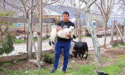 Kahramanmaraş'ta cevize don vurdu, üretici alternatif işlere yöneldi