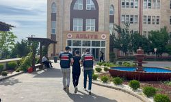 Kahramanmaraş’ta motosikletle telef olan köpeği sürükleyen şahıs serbest kaldı