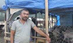 Kurban Bayramı yaklaşıyor Adana’da pazarlık zamanı
