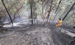 Kahramanmaraş'taki orman yangınında 5,5 hektar zarar gördü