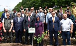 Osmaniye'de koruyucu aileler için 250 fidan toprakla buluştu