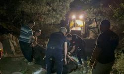 Adana’da 2 gündür kayıp olan inek kuyuda bulundu