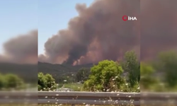Adana’da Orman Yangını: Havadan ve karadan müdahale ediliyor