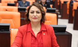 Adana'da sanayi alarmı: 100’den fazla fabrika kapandı, CHP’li Şevkin’den 15 İlçeye 15 soru!