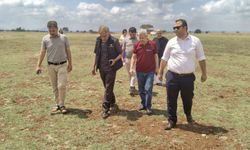Adana’da üç meraya ıslah hamlesi: Hayvancılığa destek güçleniyor