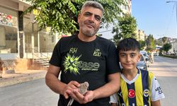 Antakya’da bir vatandaş yavru kumruya umut oldu