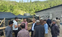 Başkan Dal’dan kurban pazarı ziyareti