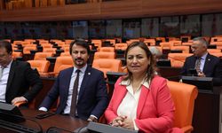 CHP'li Şevkin’den torba yasa tepkisi: Zeytinlikler tehlikede!