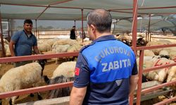 Çukurova Belediyesi’nden Kurban Pazarı Mesaisi
