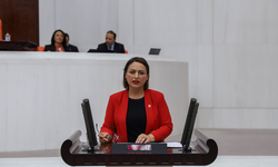 Dr. Şevkin TBMM’de isyan etti: “Kadınlar her gün öldürülüyor”