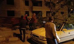 Fırtınada ağaç otomobilin üzerine devrildi