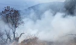 Gazipaşa’da meyve bahçesinde çıkan yangın hızla söndürüldü