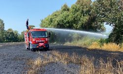 Kadirli’de buğday tarlasında yangın: 20 dönüm zarar gördü