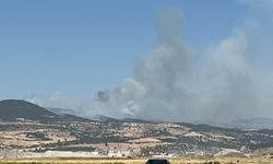 Kahramanmaraş’ta 30 saatlik orman yangını sürüyor, ikinci yangın çıktı