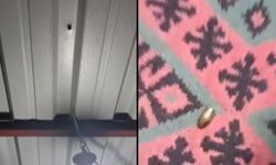 Kozan’da çardakta oturan ailenin üzerine yorgun mermi düştü