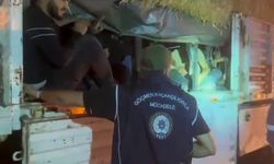 Saman yüklü tırdan 31 düzensiz göçmen çıktı: 1 kişi tutuklandı
