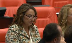 CHP'li Şevkin'den staj ve çıraklık mağduriyetine tepki: "Bu yanlıştan bir an önce dönün"