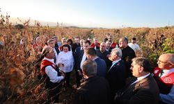 TBMM Komisyonu Mersin’de zirai don zararını inceledi