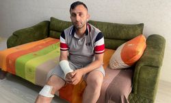 Yürüyüş kabusa döndü: Sahipsiz köpekler bir kişiye saldırdı