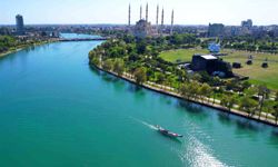 Adana’da yaşayan en çok nereli var?