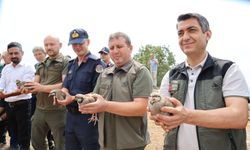 Adana’da keneyle doğal mücadele: Kozan’da 500 keklik doğaya salındı