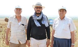 Adana’da kuraklık ayçiçeği tarlalarını kuruttu: Verim yarının altına düştü